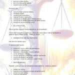 8_strana_02-1.jpg